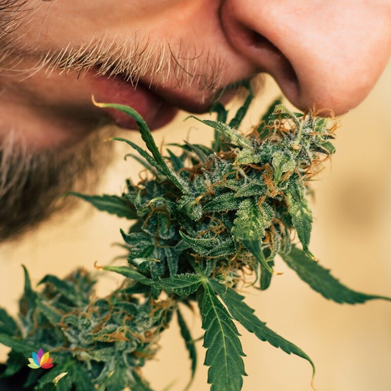 Cannabis Brand Marketing: 7 Tactics to Attract Customers