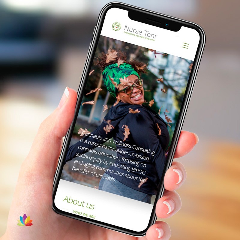 The True Price of Developing a Professional Cannabis Website