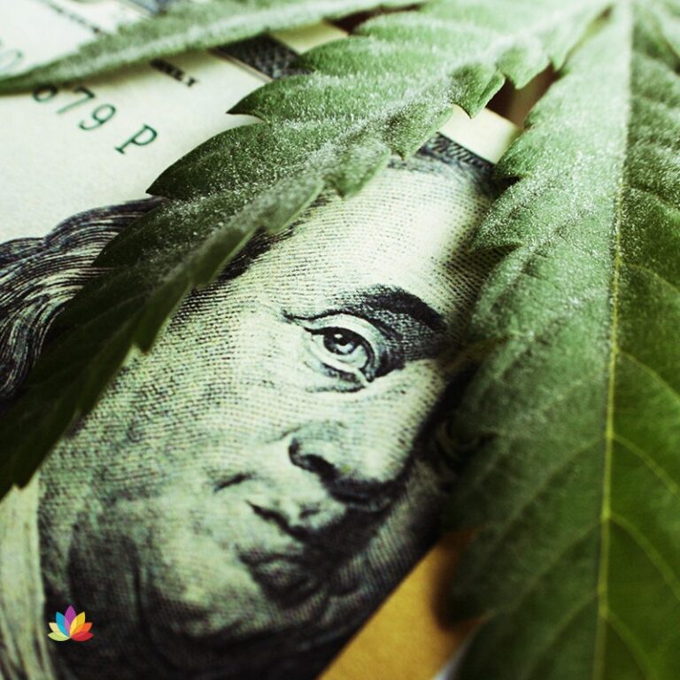 Dispensary Ecommerce: Why Your Site Fails to Attract Sales