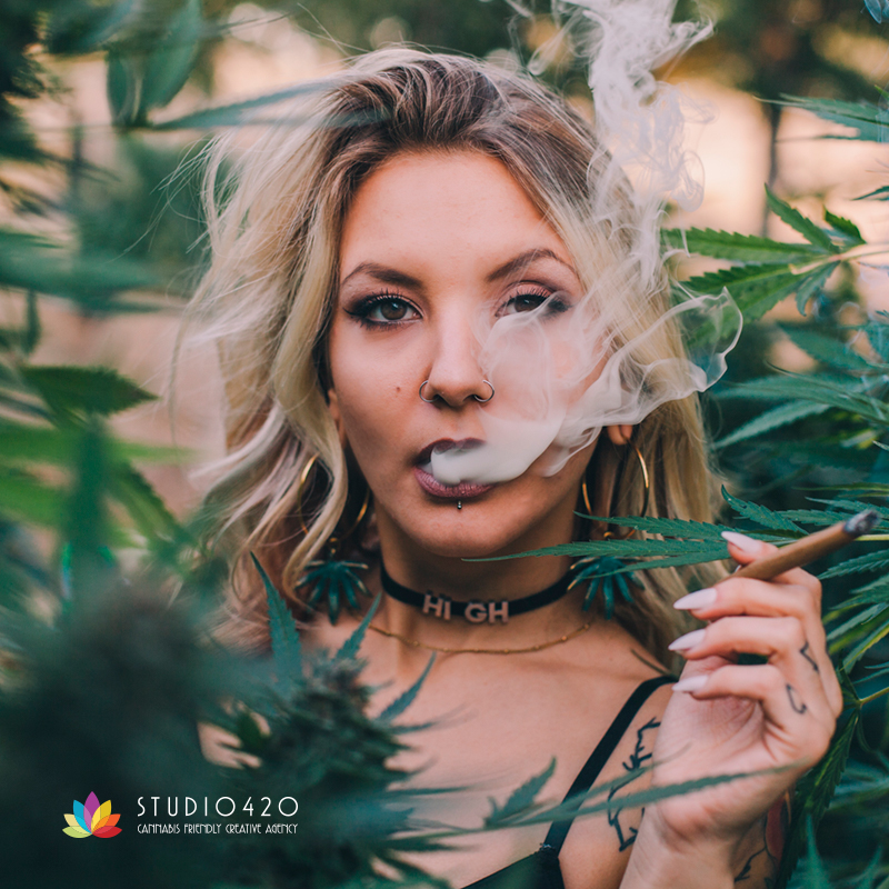 Do you Need a New (or Updated) Cannabis Website? How Do You Know?