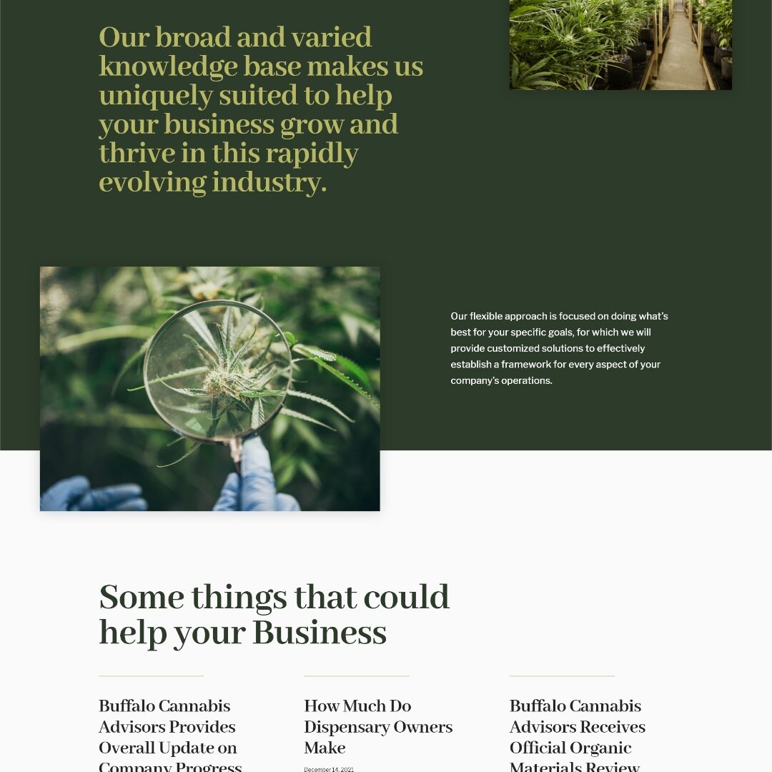 Buffalo Cannabis Advisors