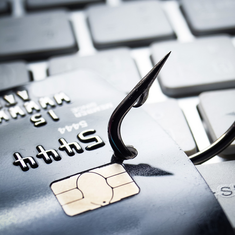 Is Google or Bing Ads the Better Alternative for Your Cannabis Business?