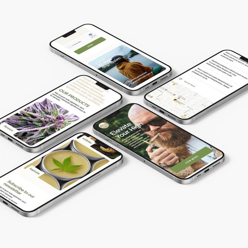 Denali Cannabis, web design by Studio 420