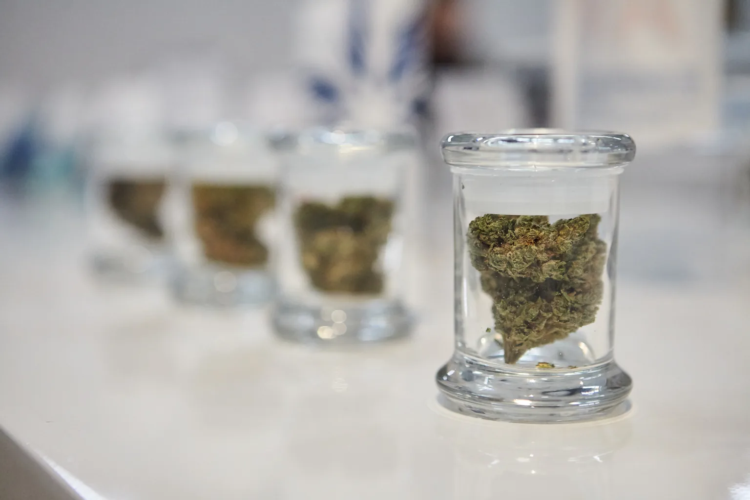 Cannabis flower in clear glass jars on a white counter, the kind of product photo a brand guide should define